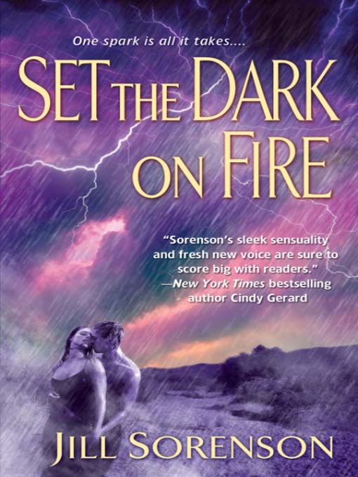Title details for Set the Dark on Fire by Jill Sorenson - Wait list